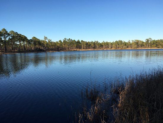 Patsy Pond Nature Trail