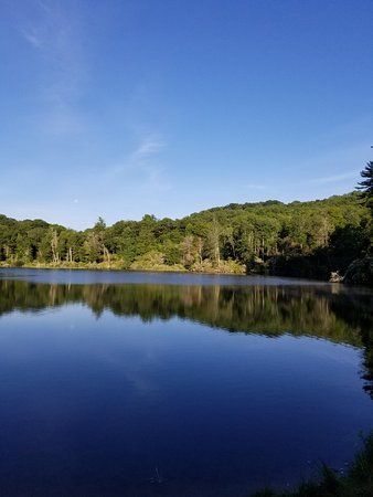 Trout Lake
