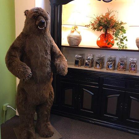The Chocolate Bear