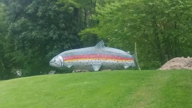 Grandfather Trout Ponds