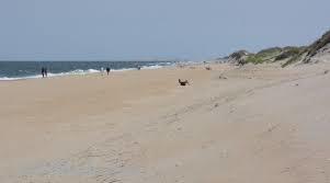 Coquina Beach