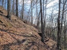 Woods Mountain