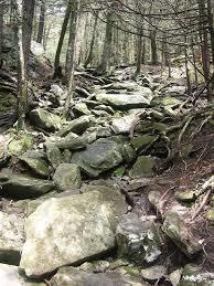 Profile Trail