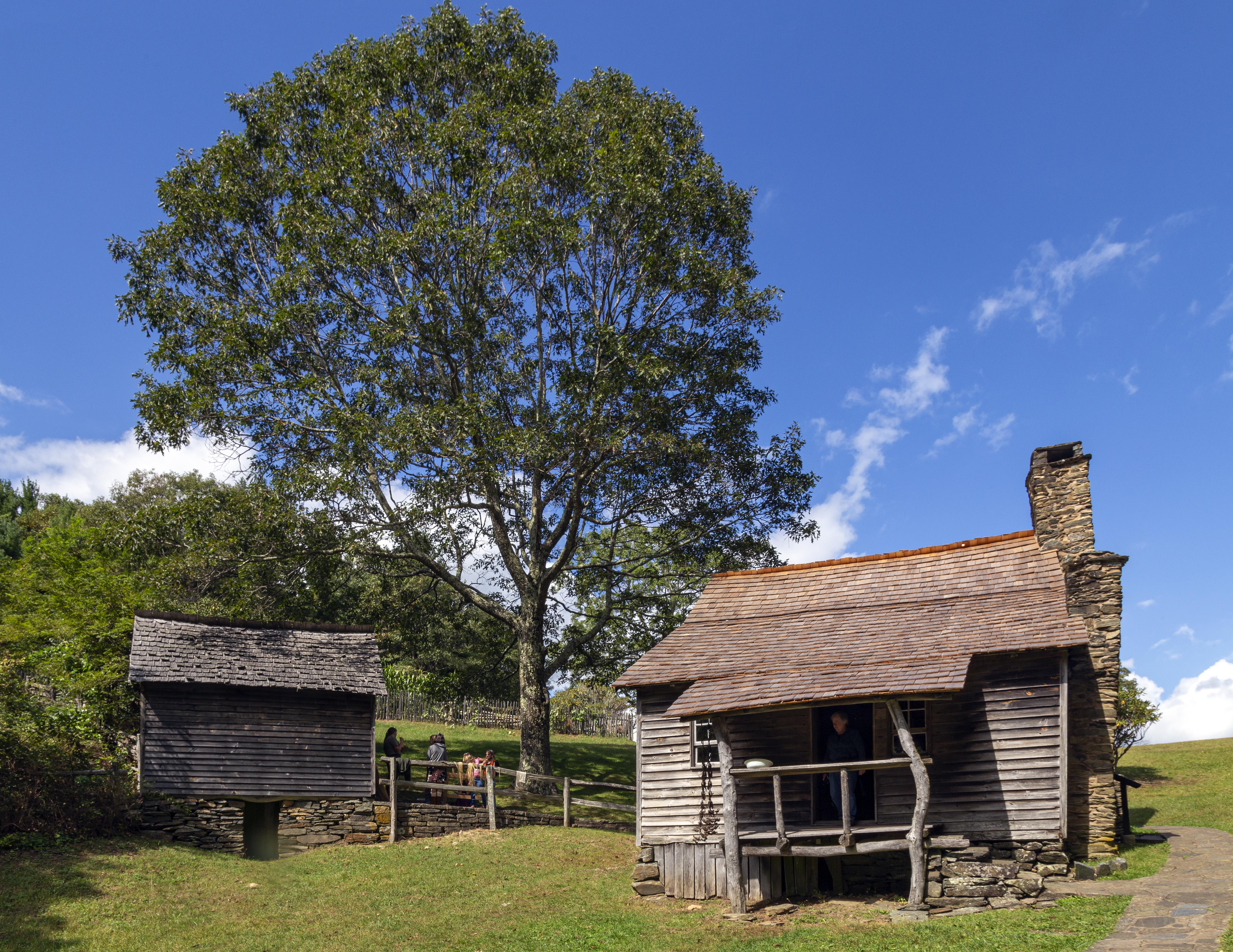 Brinegar Cabin
