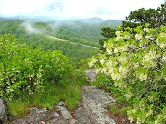 Blue Ridge Parkway