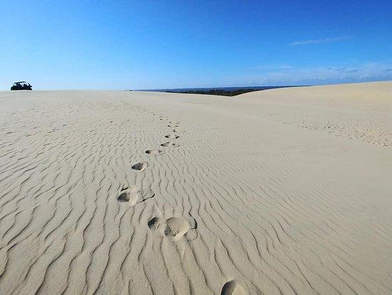 Tracks in the Sand