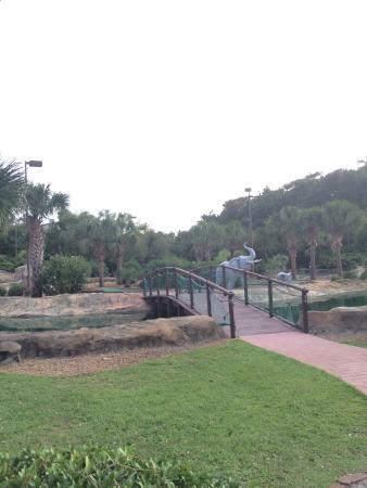 Jungle Golf