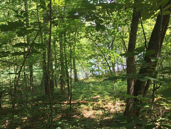 Jackrabbit Mountain Bike & Hiking Trails