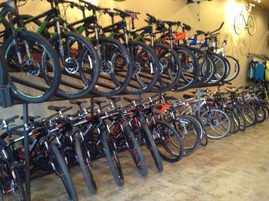 Tsali Cycles