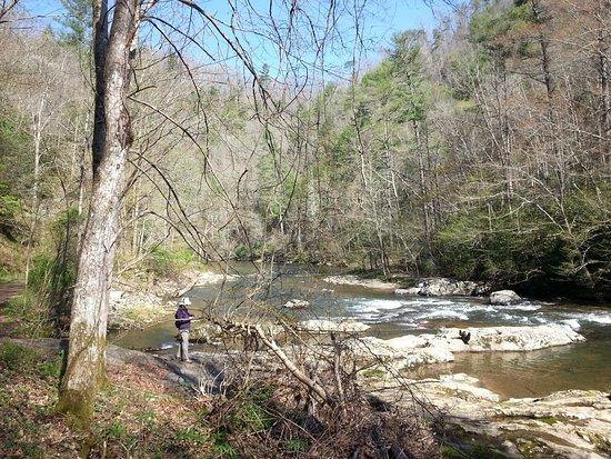 Laurel River Trail