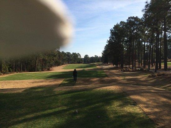Pinehurst Course Number 4