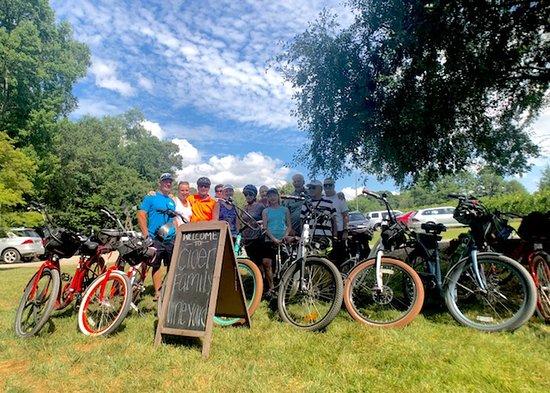 Pedego Electric Bikes Triangle