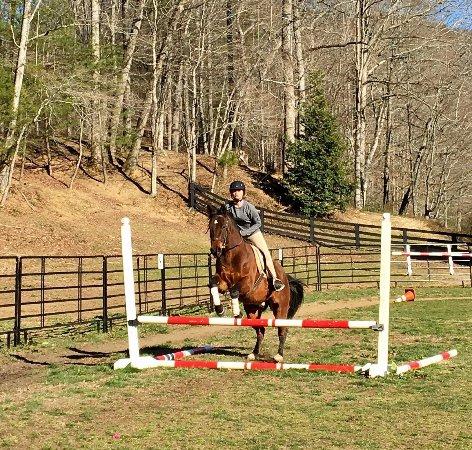 Shoal Creek Horseback Riding