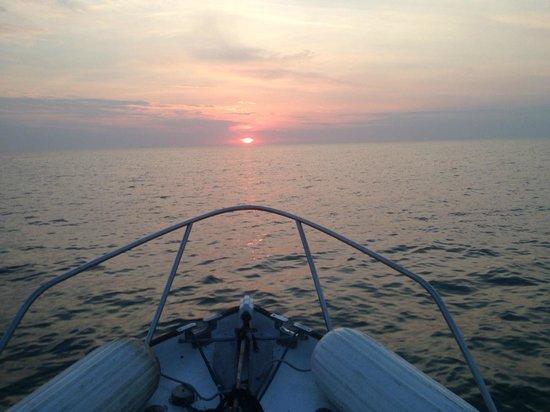 Barrier Island Excursions
