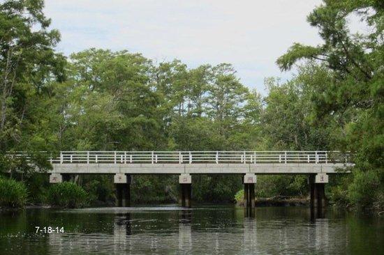Newport River Adventures