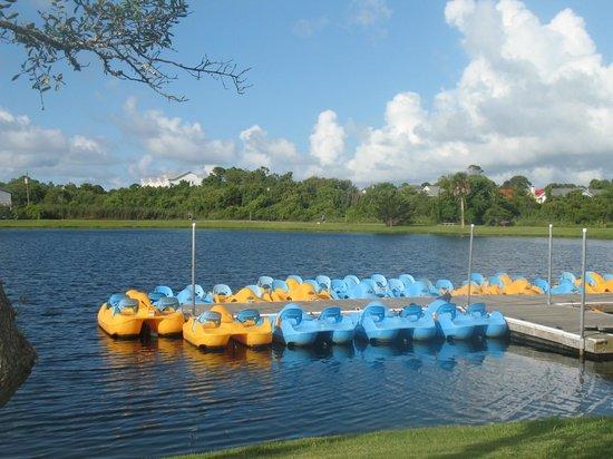 Wheel Fun Rentals