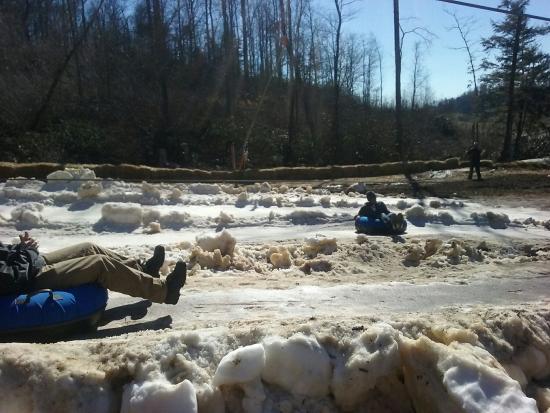 Black Bear Snow Tubing
