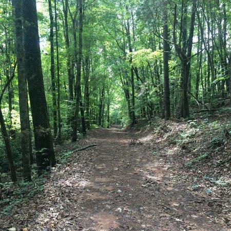 Bradley Nature Preserve at Alexander's Ford