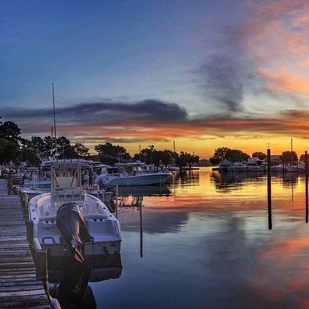 Reel Cranky Fishing Charters