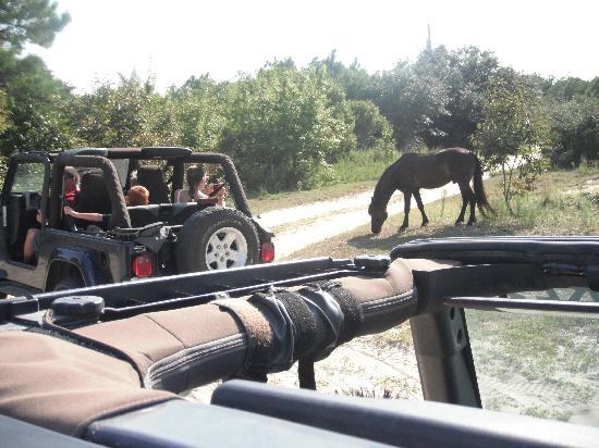 Rick's Jeep Adventures