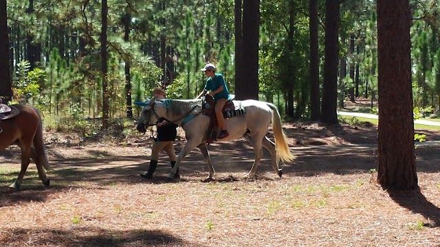 Smith Lake Recreation Area