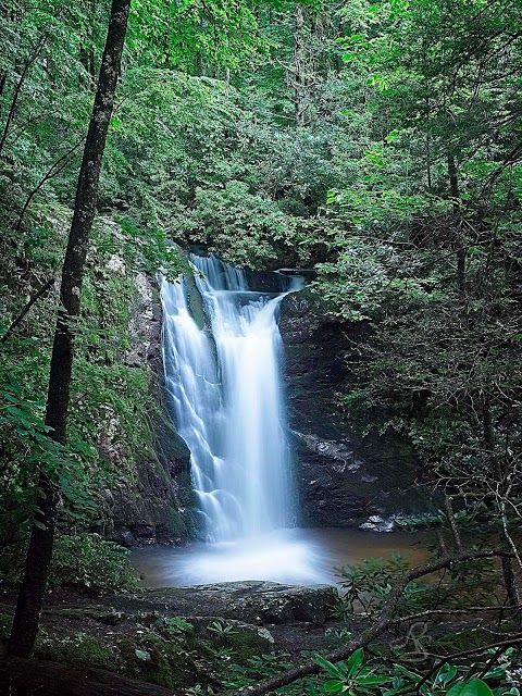 Wolf Creek Falls