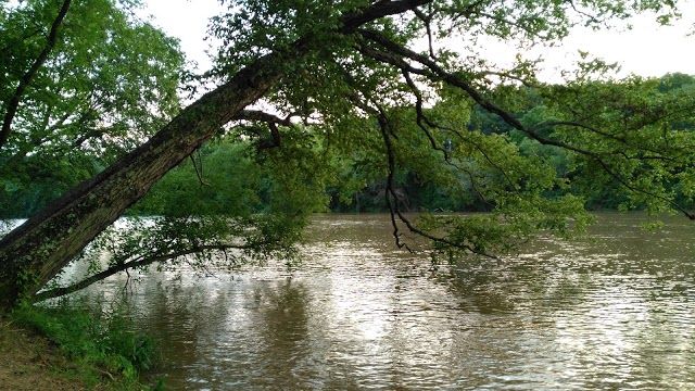 Woodfin Riverside Park