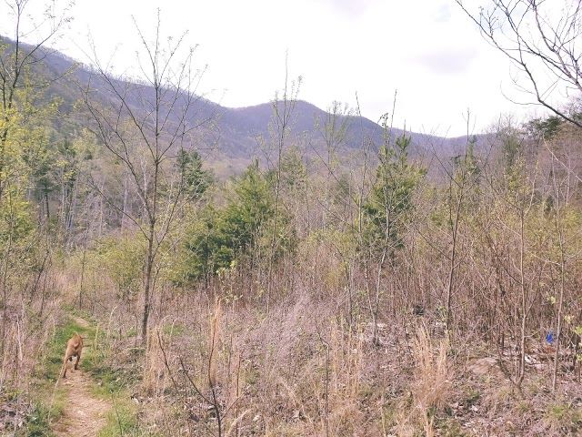Shopes Trail Head