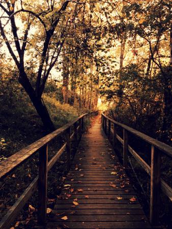 BurMil Park