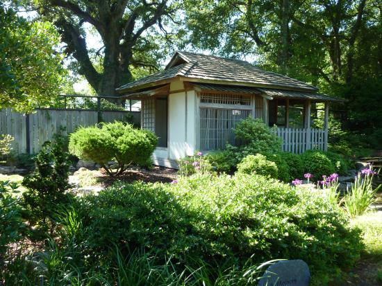 New Hanover County Arboretum