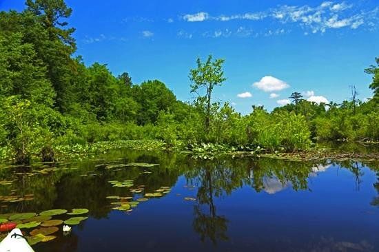 Lake Rim Park