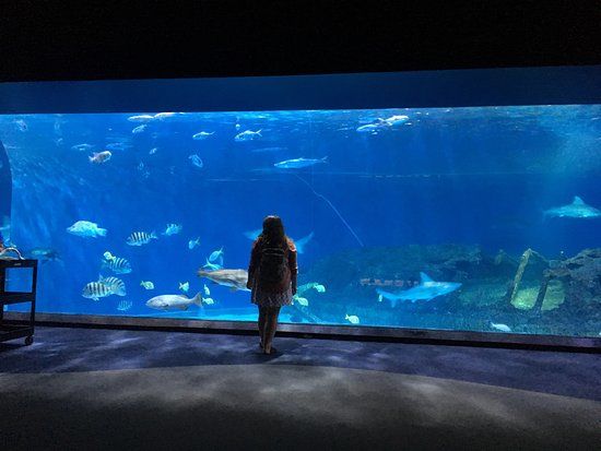 North Carolina Aquarium on Roanoke Island