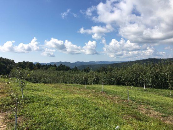 Sky Top Orchard