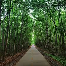 American Tobacco Trail