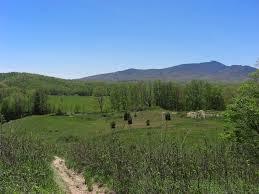 Green Knob Trail