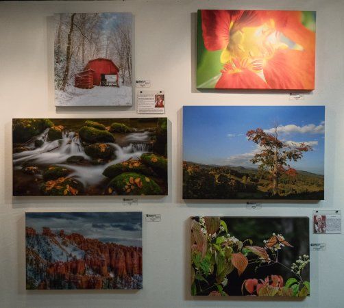 CatchLight Gallery